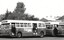 Three MMTB Mk 4 buses at Clifton Hill depot during the 1970's