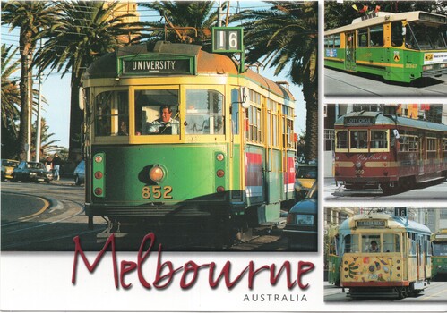 Steve Parish, four panel Melbourne trams