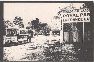 Zoo Horse tram 
