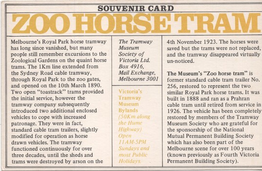 Zoo Horse tram - rear