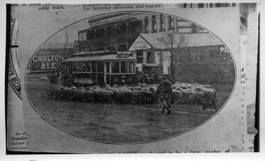 MMTB M Class Tram 185 in Newmarket - Newspaper photo 