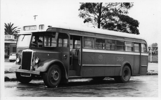MMTB Bus 365  Leyland OPS1 chassis. Preston Workshops body, at 21 May 1955