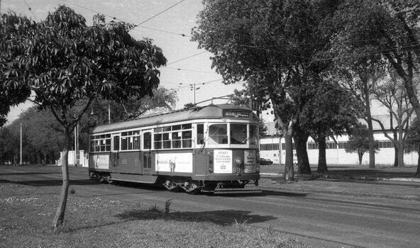 SW6 895 Albert Road South Melbourne