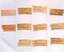 "Schoolboy Howler" 2d City Section and others tram tickets rear