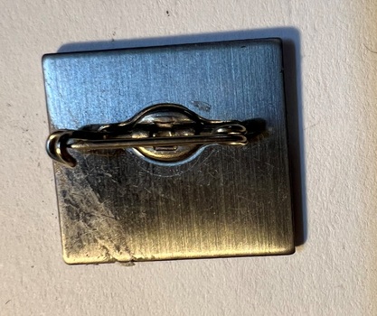 "100 years of Electric Trams" badge - rear