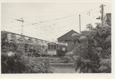 Photograph - Black & White Photograph/s, Chris Phillips, 1971