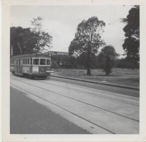 Photograph - Black & White Photograph/s, Mark Plummer, late 1960's