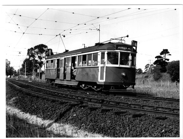 Photograph - Black & White Photograph/s, early 1950's?