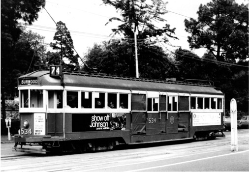 tram 534 in Wellington Parade