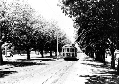 Photograph - Black & White Photograph/s, 1950's? to 1960's