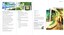 "Yarra Trams at a Glance"