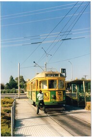 Photograph - Colour Print, c1983