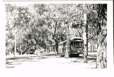 Photograph - Black & White Photograph/s, early 1980's?