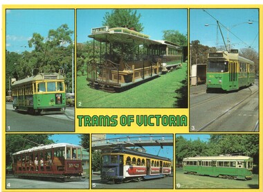 "Trams of Victoria"