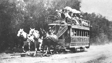 Photograph - Black & White Photograph/s, c1900