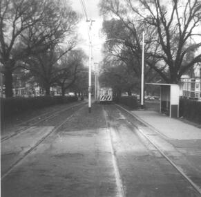 Photograph - Black & White Photograph/s, Ray Jackson, c1970