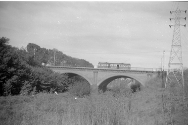 Negative, Ellis Collection, c1956