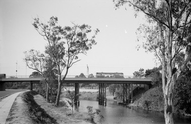 Negative - Set of 2, Ellis Collection, c1940?
