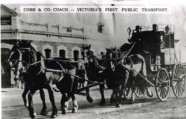 Photograph - Black & White Photograph/s, Melbourne Tramway & Omnibus Co. Limited, mid 1880's?
