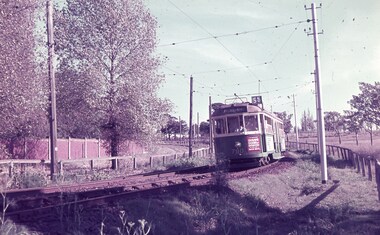 Slide - Set of 3, Keith Caldwell, 16/03/1962 12:00:00 AM