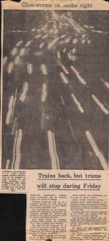 "Glow-worms on strike night", "Trains back but trams will stop during Friday"
