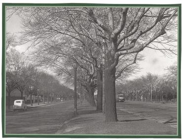Photograph - Black and White photograph, early 1940
