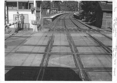 Photograph - Black & White Photograph/s, 2009