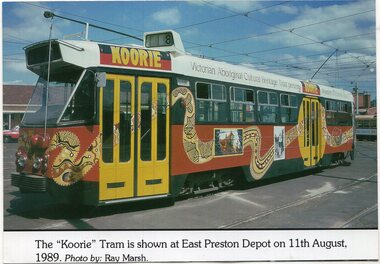 The  "Koorie" Tram