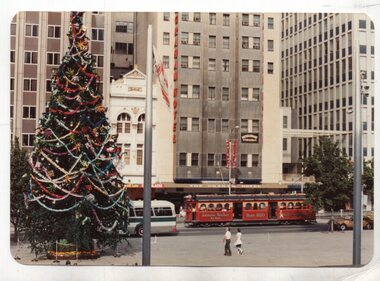 Photograph - Colour Photograph/s, Dec. 1981
