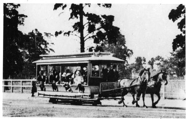 Photograph - Black & White Photograph/s, P W Duckett Collection, c1920