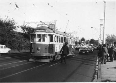 Tram 245 Normanby Rd Caulfield Races