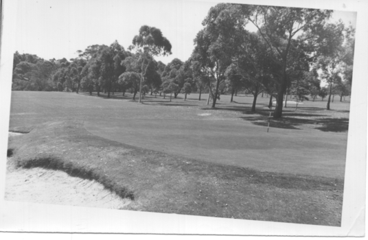 part of the golf course.