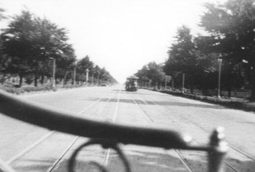 St Kilda Road from a cable tram