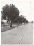 Nicholson St East Coburg, single track.