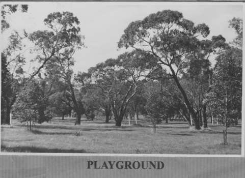 Wattle Park Golf Course and Parkland