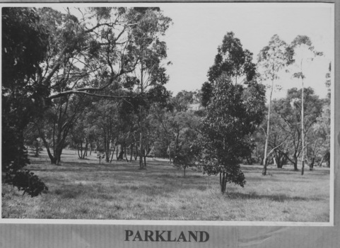 Wattle Park Golf Course and Parkland
