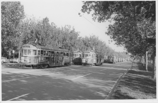 Lines of stationary W class tram in St Kilda Road