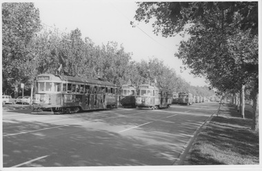 Lines of stationary W class tram in St Kilda Road
