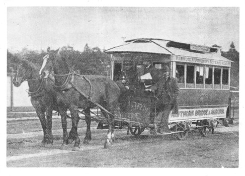 Hawthorn horse tram