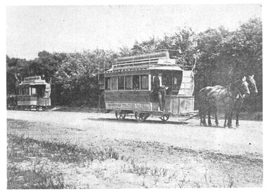 Sandringham - Beaumaris horse trams