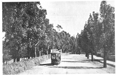 Photograph - Sandringham - Beaumaris horse trams, c1900