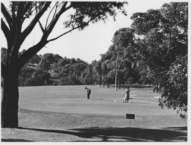 Photograph - Wattle Park Golf Course and Parkland - set of 5