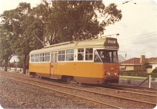 Tram 1041 - River St Maribyrnong