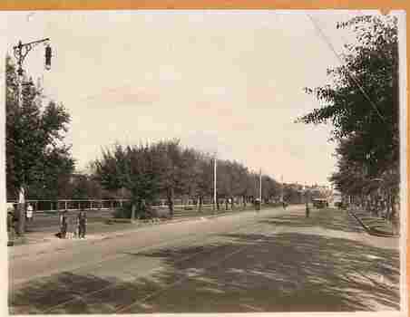 St Kilda Road looking south