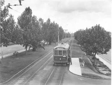 Tram 145 Dandenong Road
