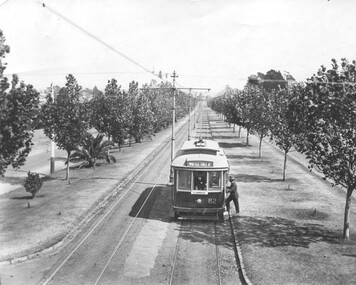 Tram 82 Dandenong Road