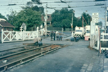 Kooyong level crossing track work