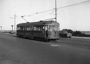 VR trams 52 at Brighton Beach.