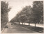St Kilda Road, prior to electrification - 2