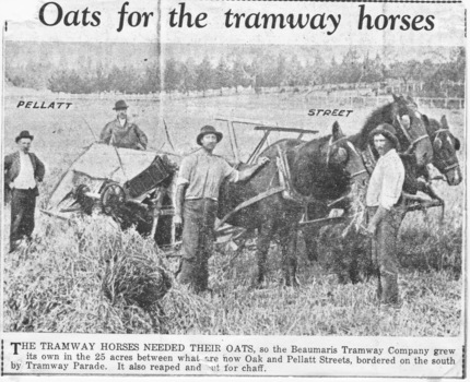 Beaumaris Tramway Company Ltd